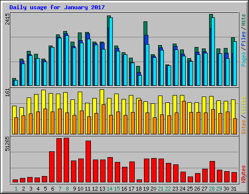 Daily usage for January 2017