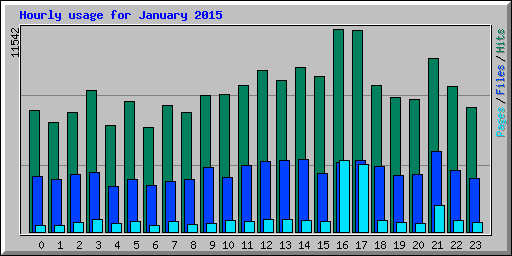 Hourly usage for January 2015