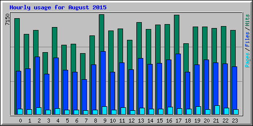 Hourly usage for August 2015