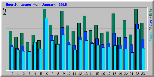 Hourly usage for January 2016
