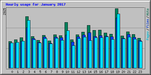 Hourly usage for January 2017