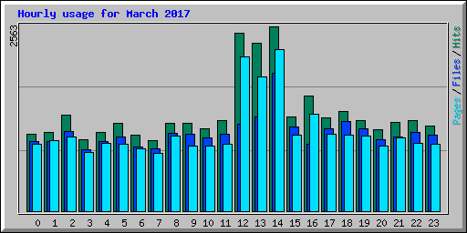Hourly usage for March 2017